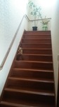 階段の幅を広くしてほしいとの事で1.5倍の幅の階段にしました。